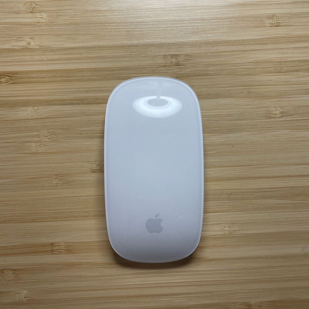 Apple Magic Mouse 1st gen